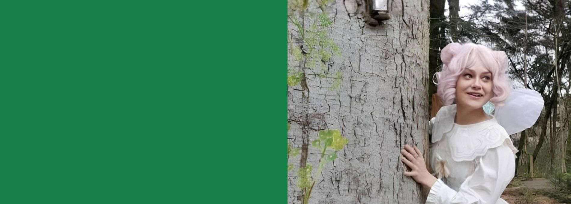Young woman dressed as a fairy looking out from behind a tree in a forest