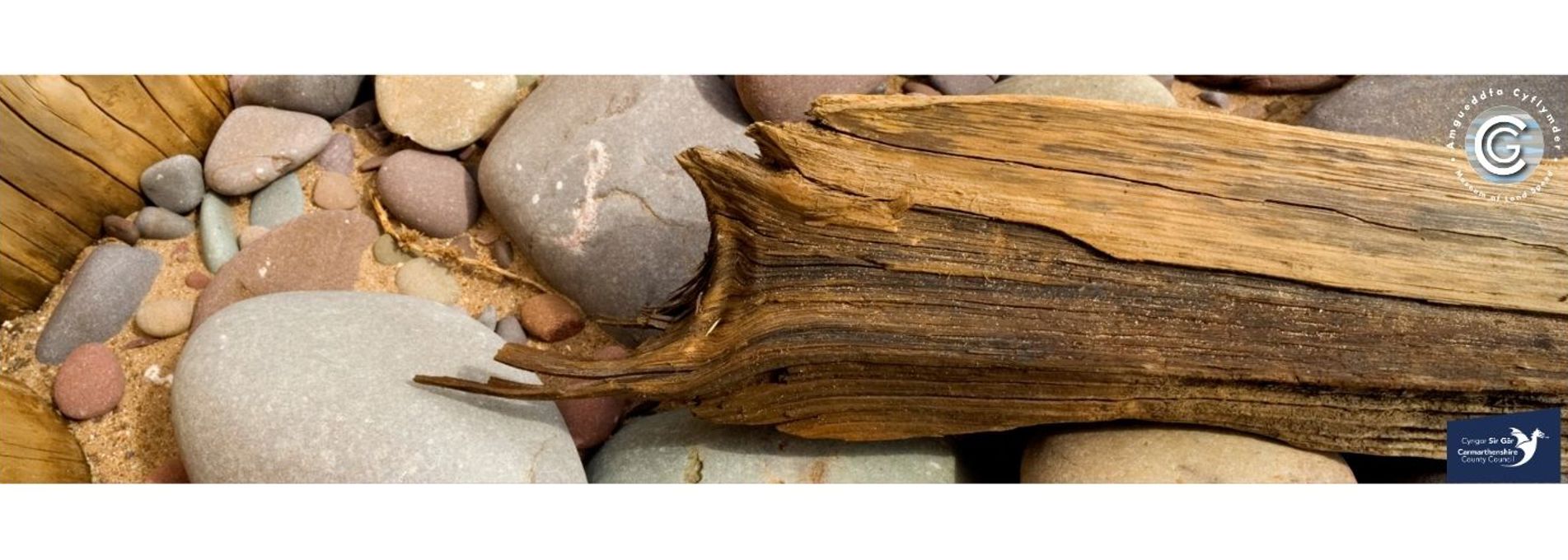 Close-up of driftwood on a pebble beach