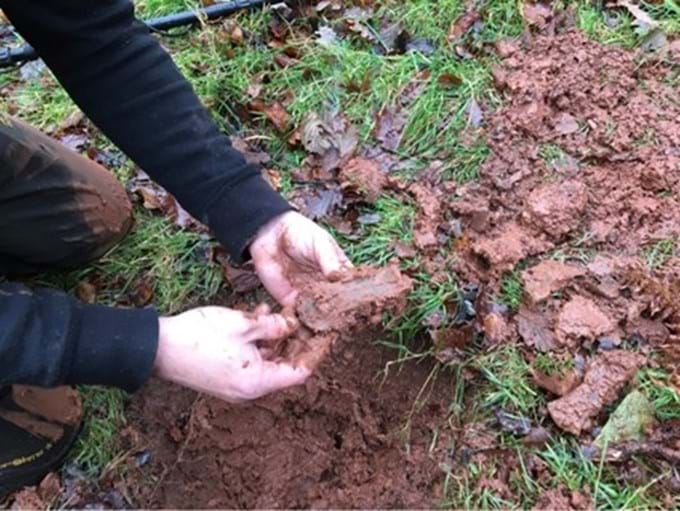 Figure 2. A bronze socketed axehead being removed from the ground by the finder of the Llanddeusant hoard, Richard Trew (© Richard Trew)